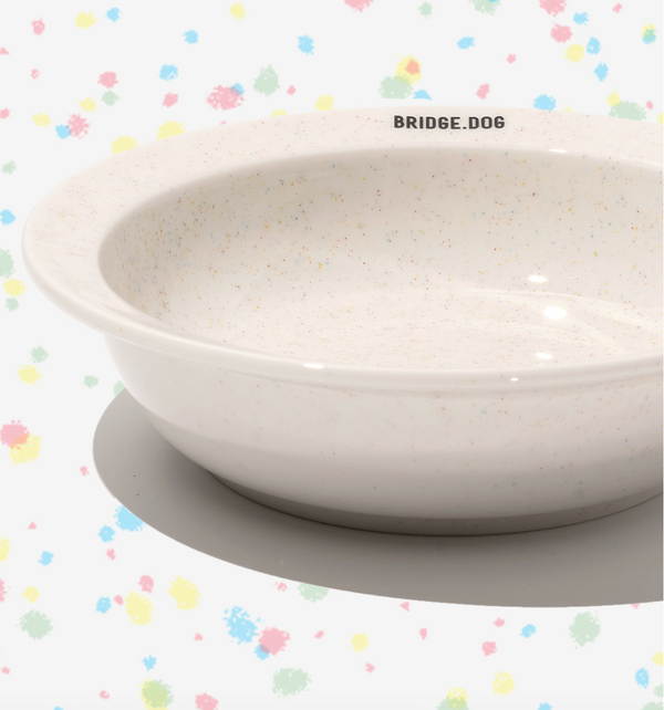 [PRE ORDER] Basic Dish - Color Pop (Glossy)