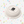 [PRE ORDER] Basic Dish - Color Pop (Glossy)