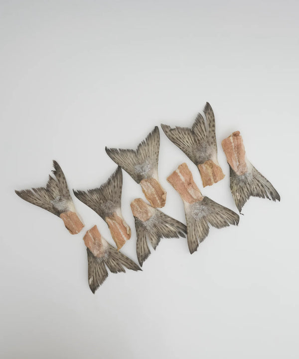 Wild Salmon Tails