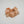 Raw Freeze-Dried Tasmanian Salmon Fillet