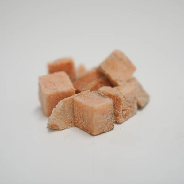 Raw Freeze-Dried Tasmanian Salmon Fillet