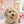 Peanuts Ice Cream Cone Toy