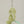 [PRE ORDER] Bunny Poop Bag (Pistachio)