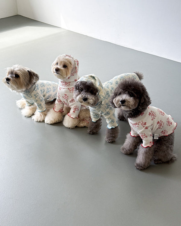 Sleeping Time Lettuce All-in-One