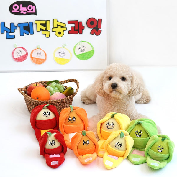 Juicy Pop Fruit Nosework Toy