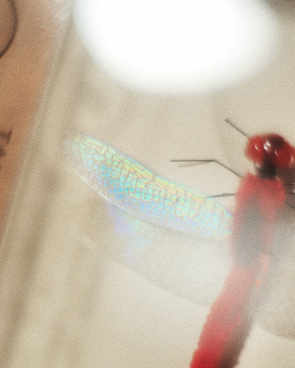 Red Dragonfly Cat Teaser Refill Toy