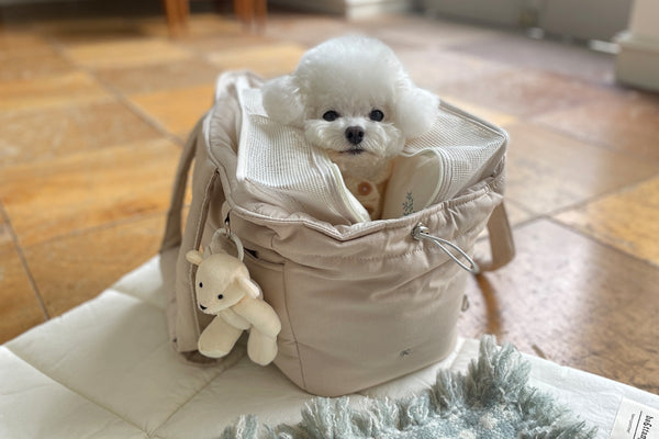Cloud Shoulder Bag