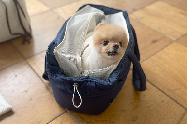 Cloud Shoulder Bag
