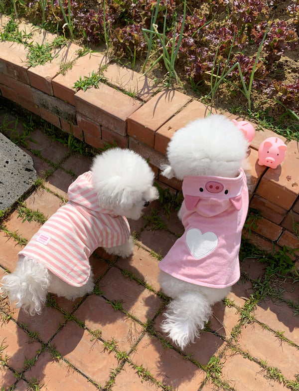 Baby Pig Robe