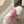 Baby Pig Robe