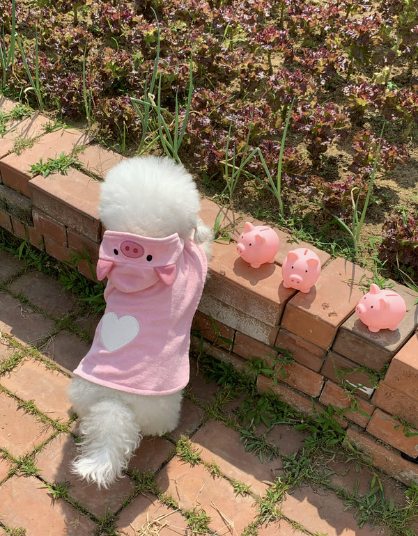 Baby Pig Robe