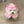 Baby Pig Robe