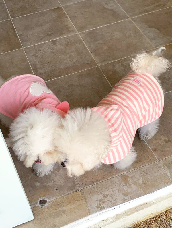Baby Pig Robe