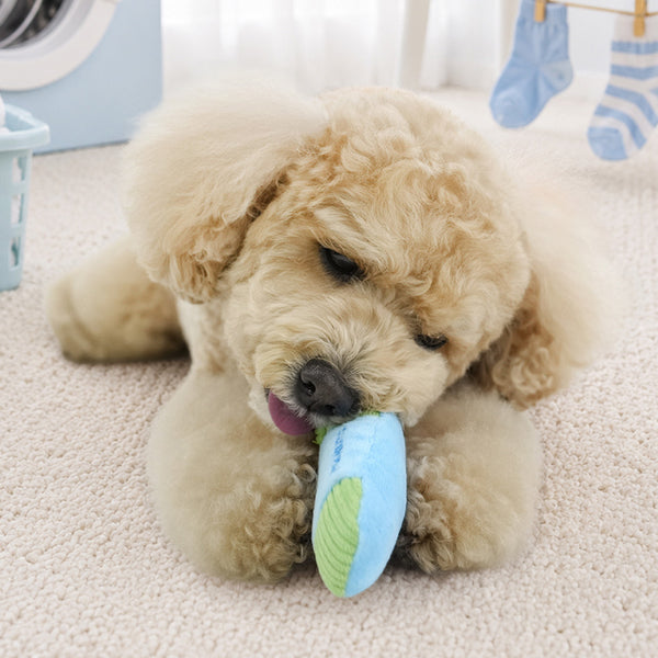 Peanuts Socks Snack Play Toy
