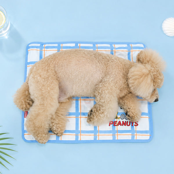Peanuts Friends Cool Gel Mat