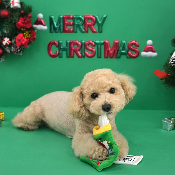 Peanuts Christmas Pocket Book Toy