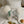 Load image into Gallery viewer, Chelsea Collection
