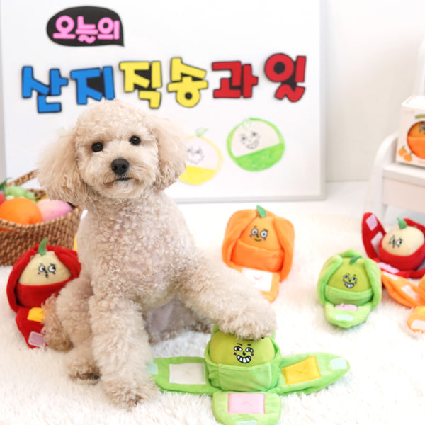 Juicy Pop Fruit Nosework Toy