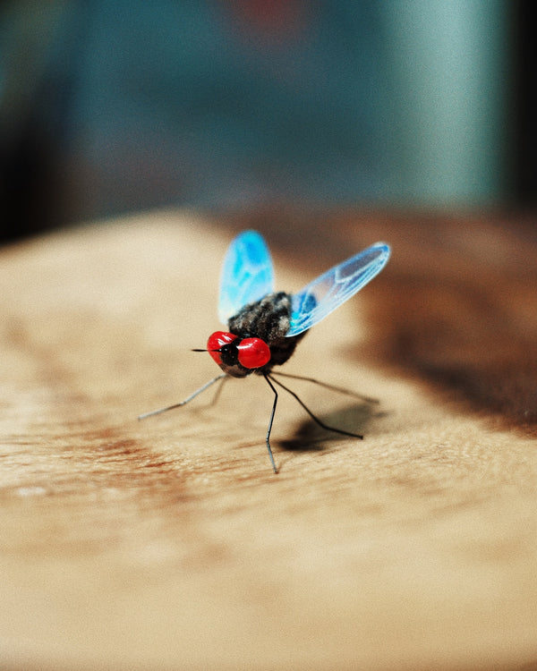 House Fly Cat Teaser Refill Toy