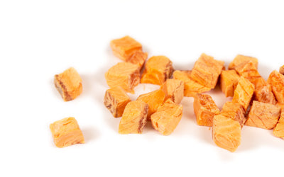 Freeze Dried Silver Salmon