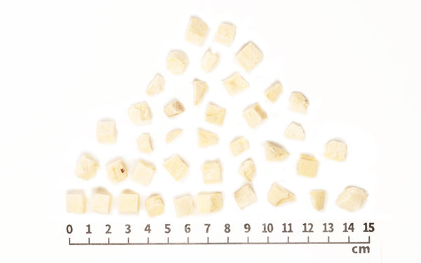 Freeze Dried Sweet Potato