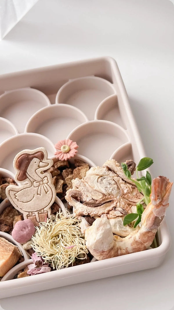 Freeze-Dried Baby Octopus