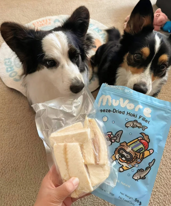 Freeze-Dried Hoki Fillet