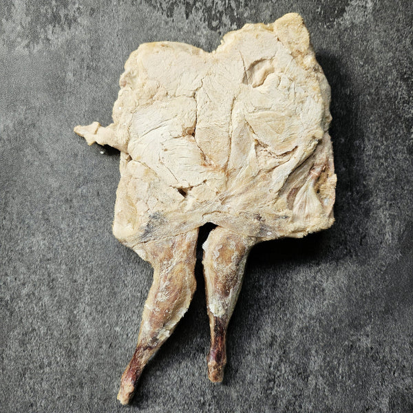 Freeze-Dried Butterfly Quail