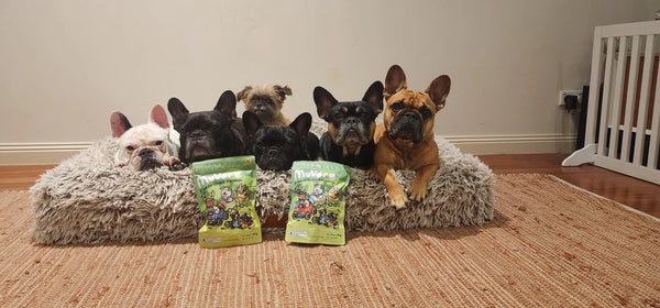 Freeze-Dried Kangaroo Meat