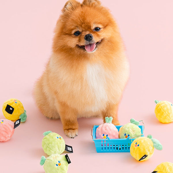 Fruit Friends Ball Toy (3pcs)