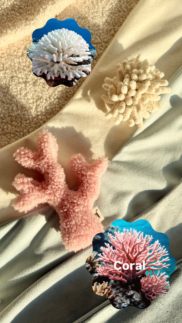 Cat Coral 2 Set