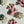 Cat Coral 2 Set