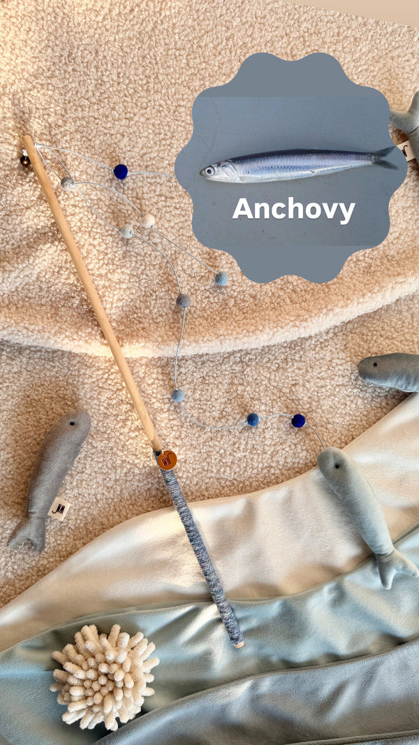Anchovy Rod