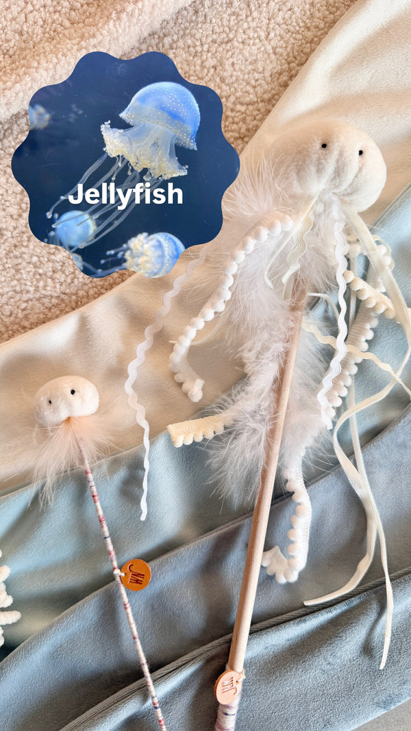 Mini Jellyfish