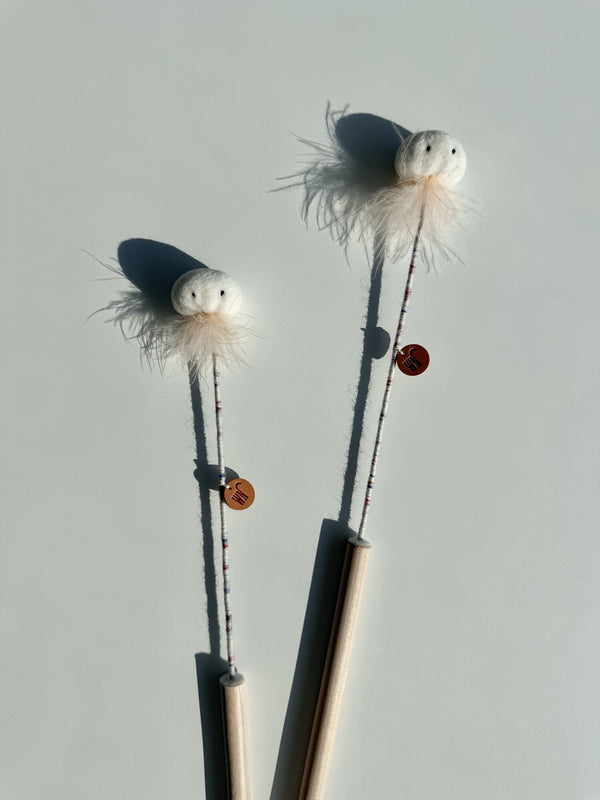 Mini Jellyfish