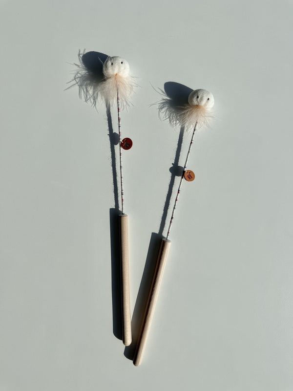 Mini Jellyfish