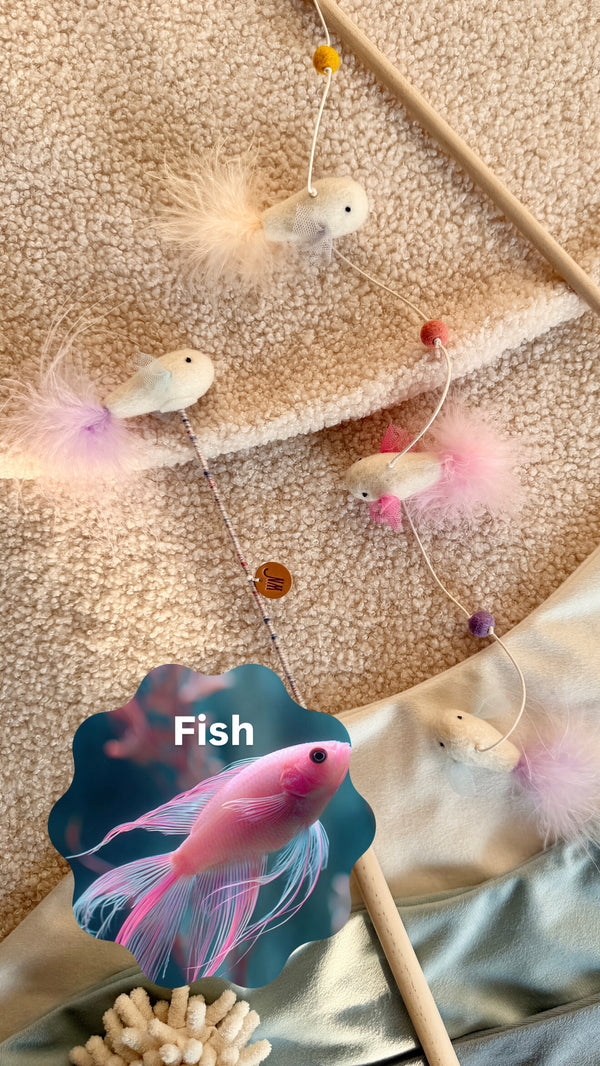 Fish Rod