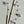 Fish Rod