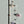 Fish Rod