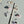 Fish Rod