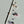Fish Rod
