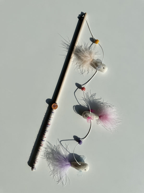 Fish Rod
