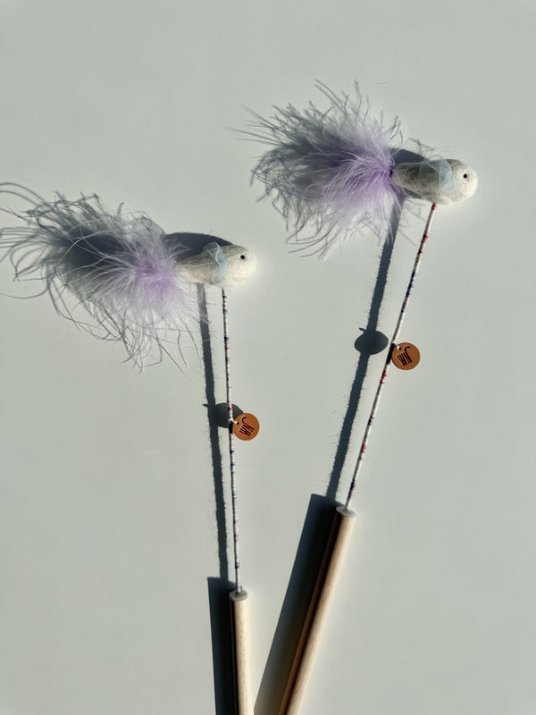 Mini Fish