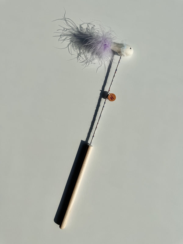 Mini Fish