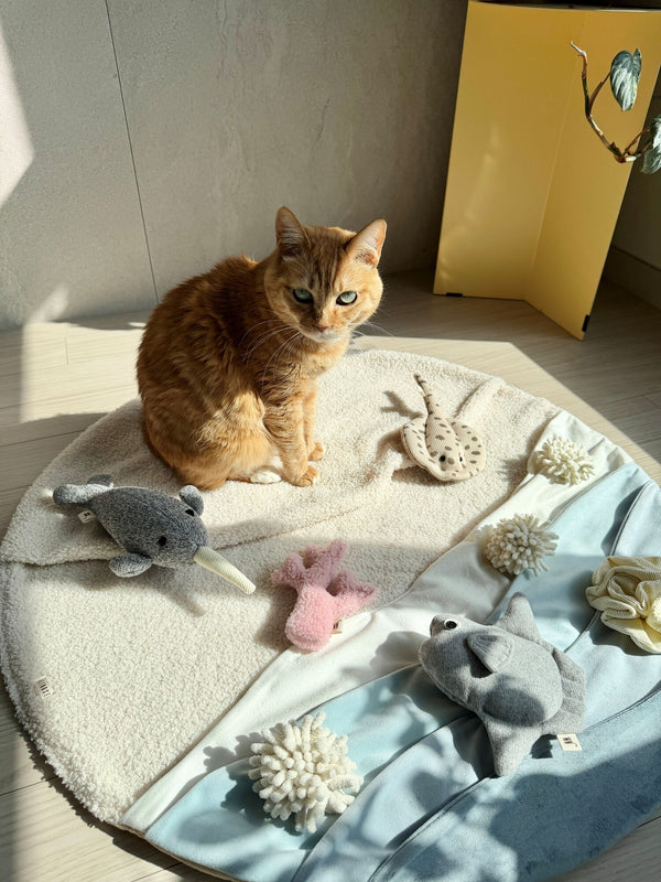 Cat Coral 2 Set