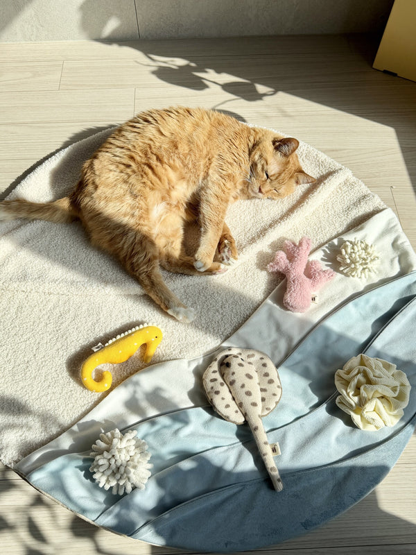 Cat Coral 2 Set