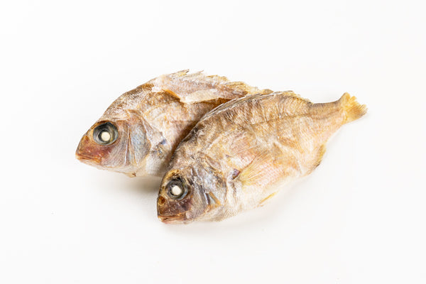 Mamedai Small Sea Bream