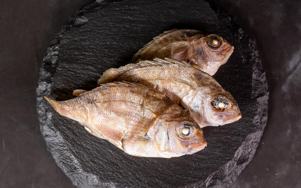 Mamedai Small Sea Bream