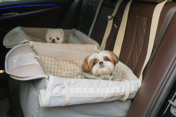 Basic Cozy Car Seat