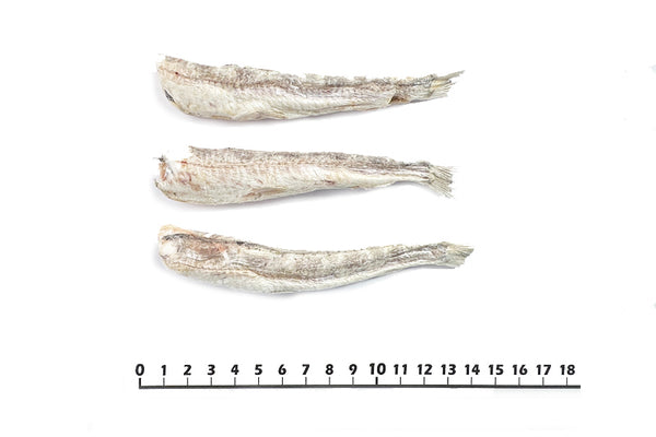 Freeze Dried Nigisu